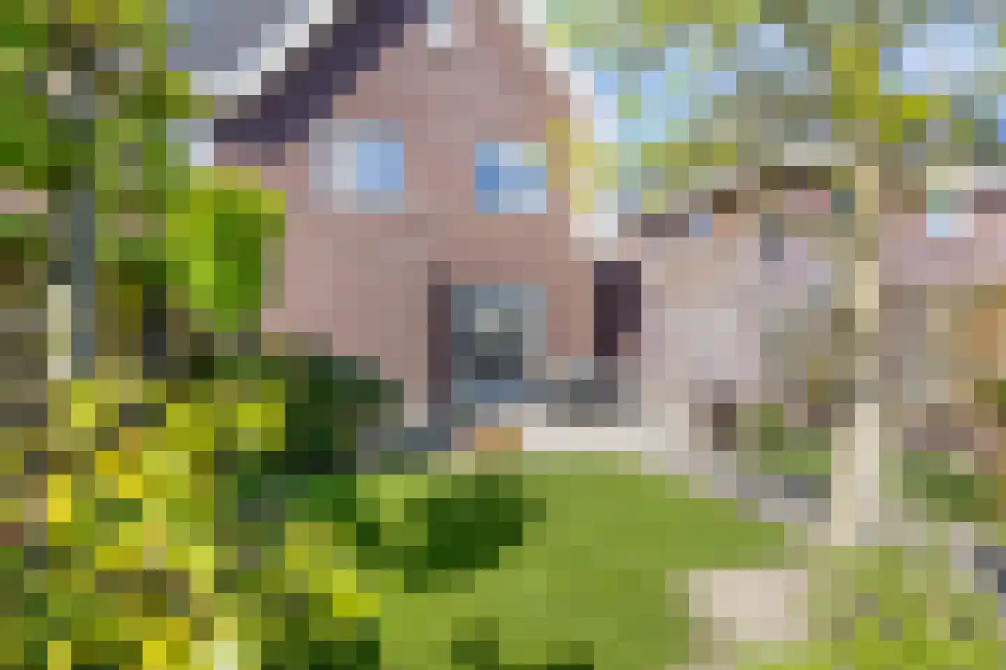 Weegbree 19 Alphen thumbnail 37