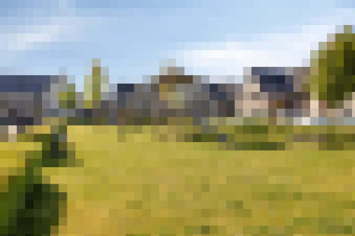 Weegbree 19 Alphen thumbnail 43
