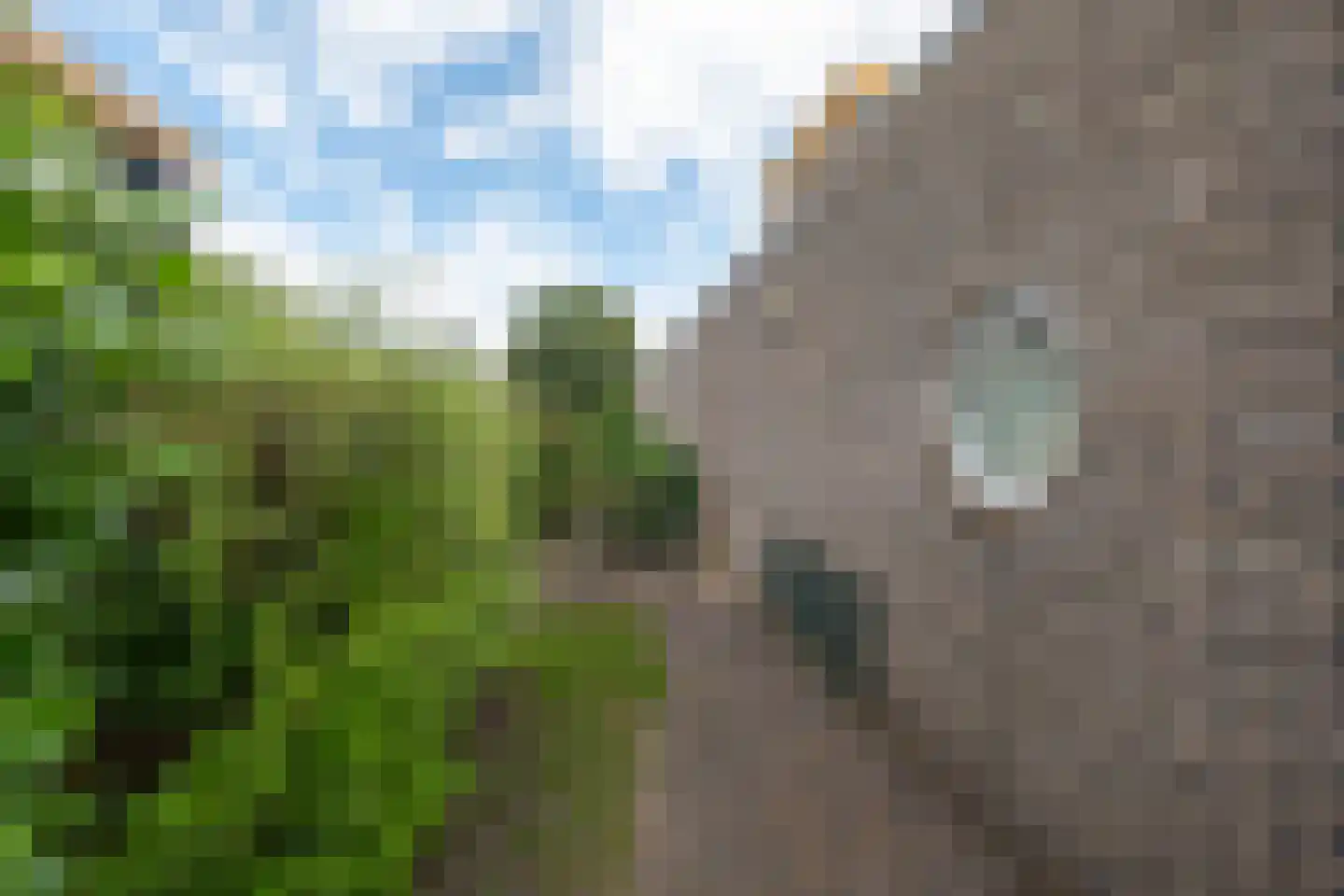 Weegbree 19 Hoogeveen thumbnail 43