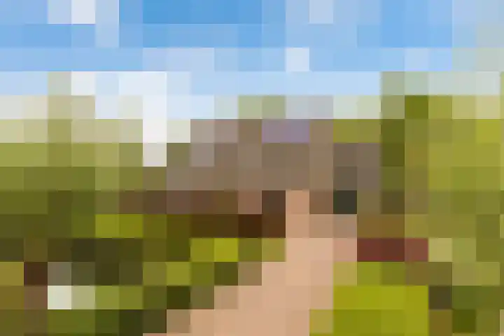 Weegbree 2 Bergambacht