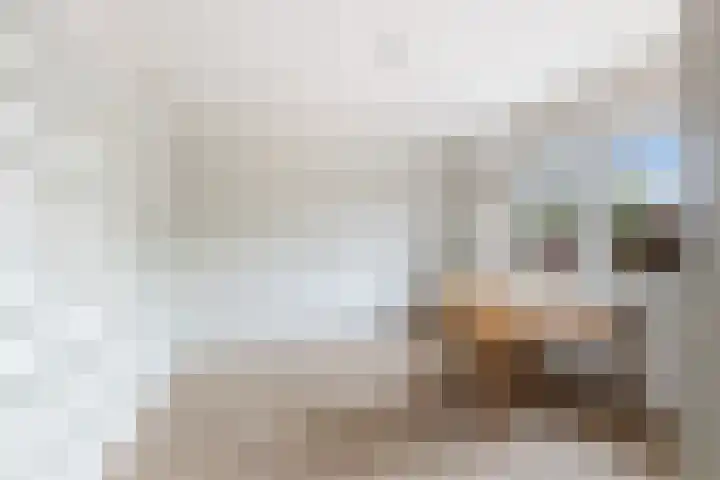 Weegbree 2 Bergambacht thumbnail 14