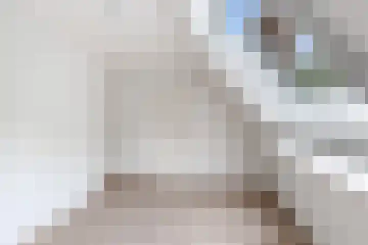 Weegbree 2 Bergambacht thumbnail 34