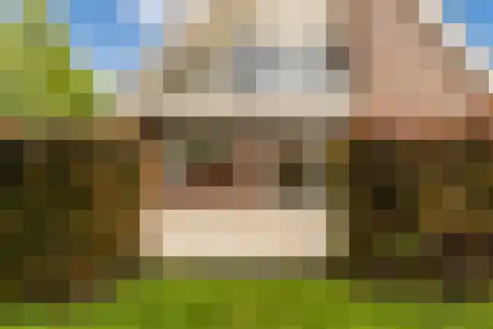 Weegbree 2 Bergambacht thumbnail 43
