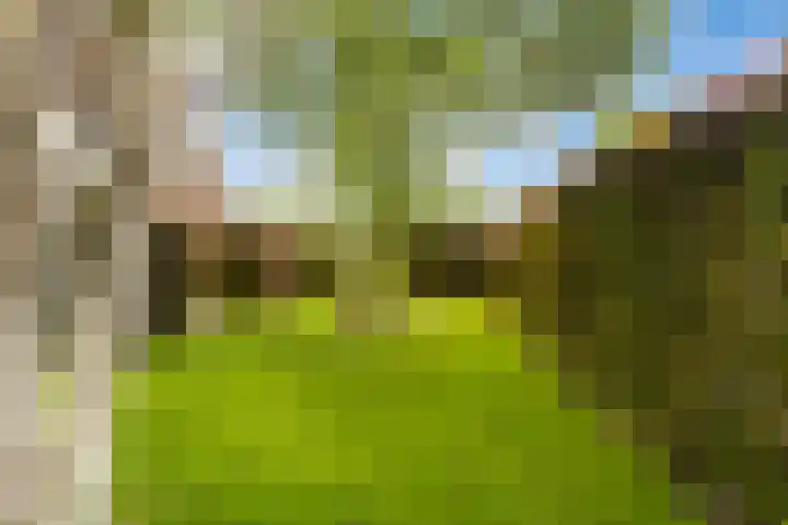 Weegbree 2 Bergambacht thumbnail 44