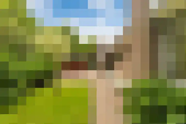 Weegbree 2 Bergambacht thumbnail 46