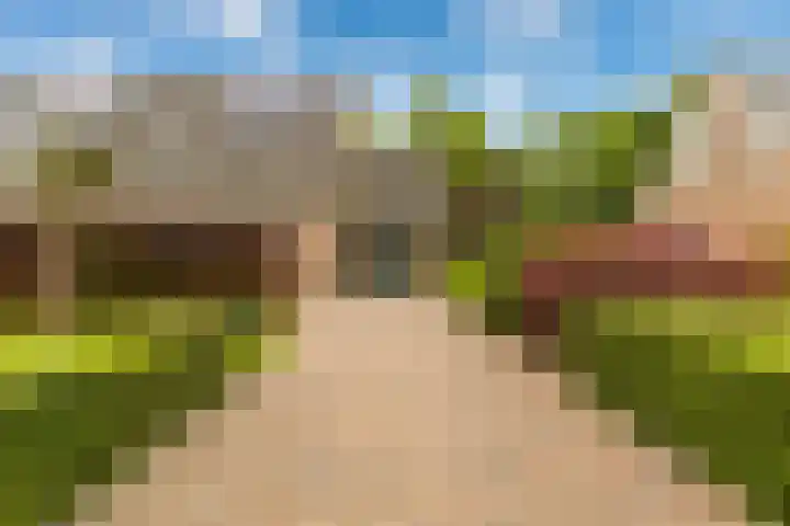 Weegbree 2 Bergambacht thumbnail 50