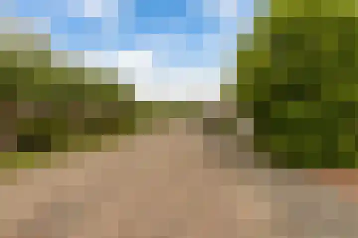 Weegbree 2 Bergambacht thumbnail 54