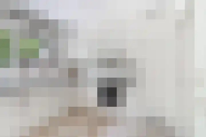 Weegbree 2 Bergambacht thumbnail 9