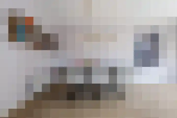 Weegbree 2 Hoogeveen thumbnail 16