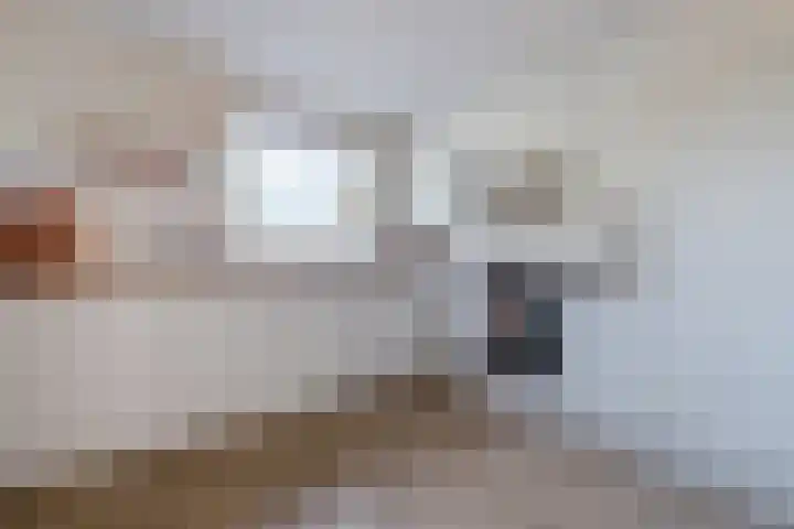 Weegbree 2 Hoogeveen thumbnail 23