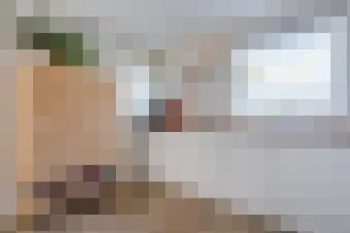 Weegbree 2 Hoogeveen thumbnail 25
