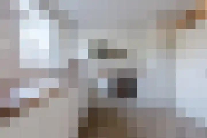 Weegbree 2 Hoogeveen thumbnail 26