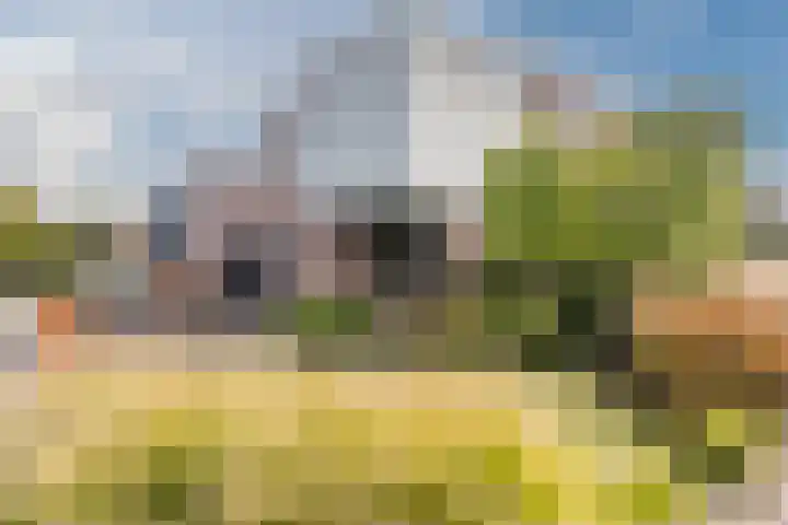 Weegbree 2 Hoogeveen thumbnail 4