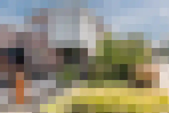 Weegbree 2 Hoogeveen thumbnail 5
