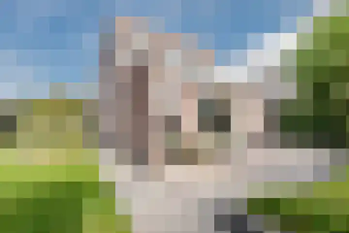Weegbree 2 Hoogeveen thumbnail 55