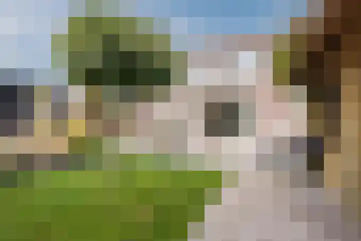 Weegbree 2 Hoogeveen thumbnail 57