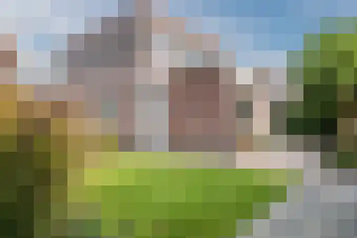 Weegbree 2 Hoogeveen thumbnail 59