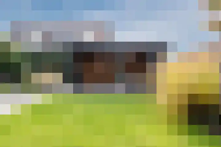 Weegbree 2 Hoogeveen thumbnail 60