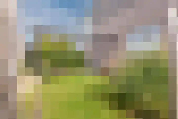 Weegbree 2 Hoogeveen thumbnail 65