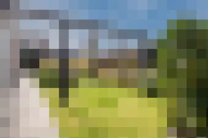 Weegbree 2 Hoogeveen thumbnail 66