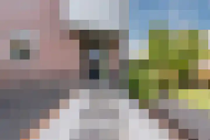 Weegbree 2 Hoogeveen thumbnail 7