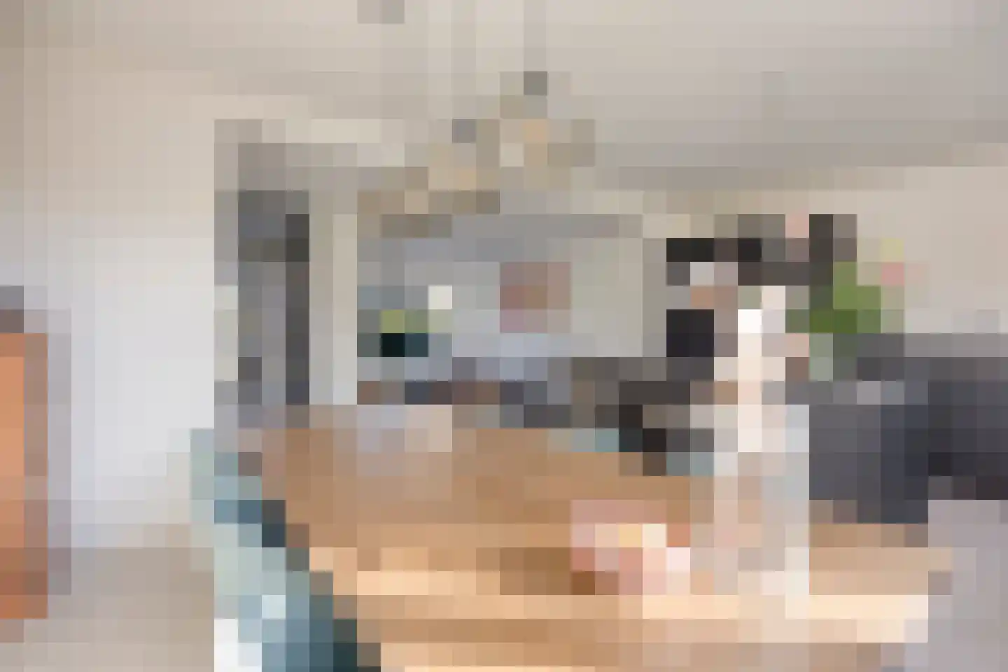 Weegbree 20 Krimpen aan den IJssel thumbnail 10