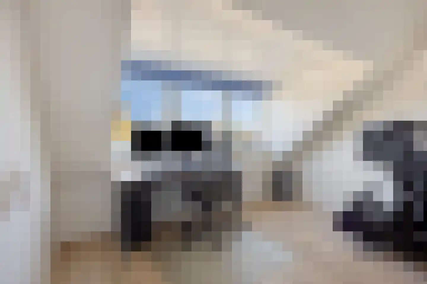 Weegbree 20 Krimpen aan den IJssel thumbnail 30