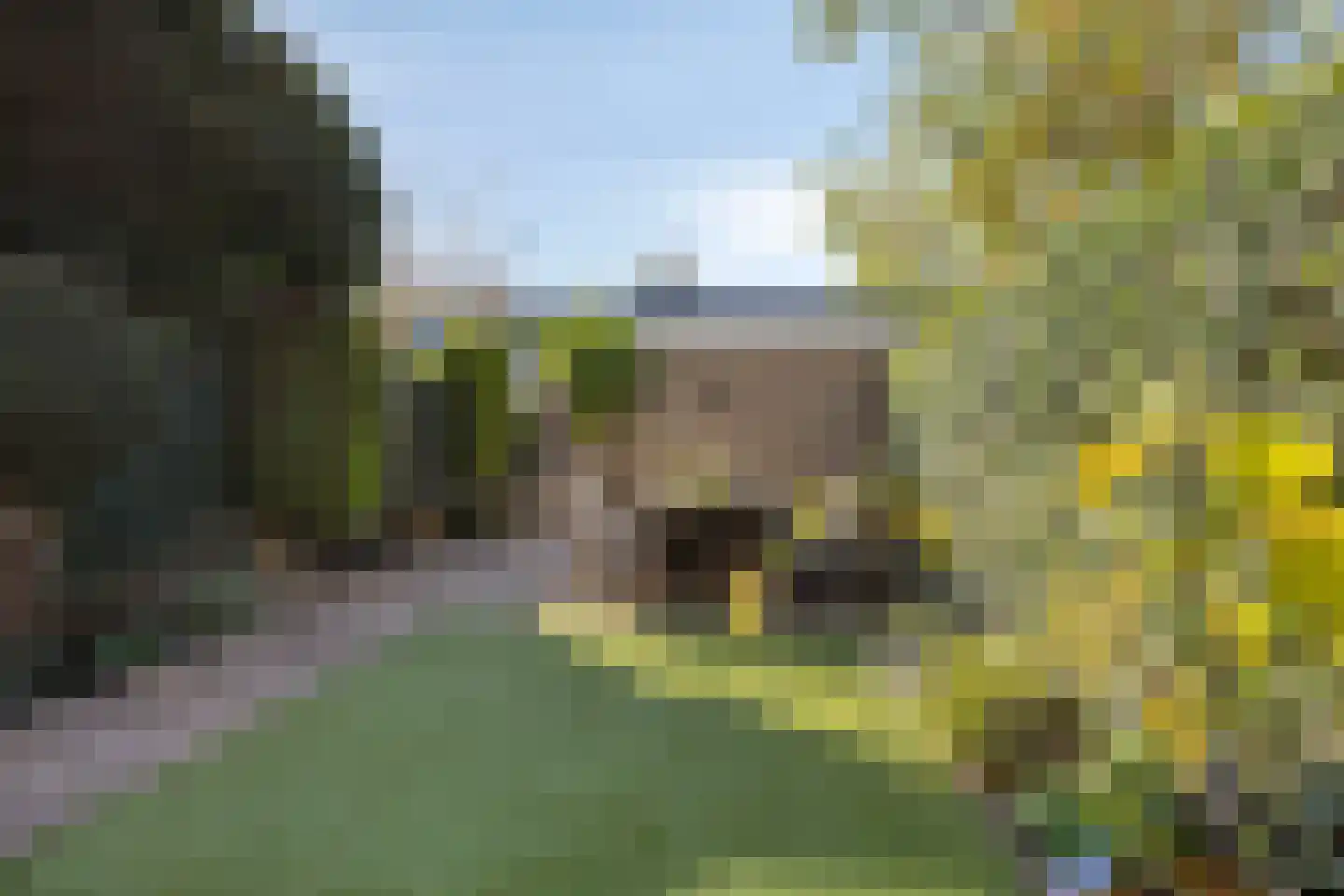 Weegbree 20 Krimpen aan den IJssel thumbnail 34