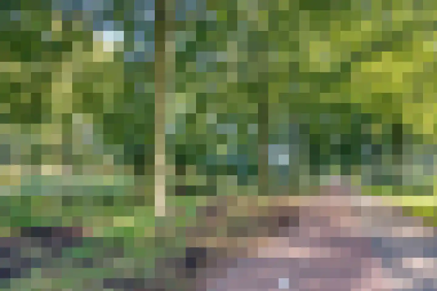 Weegbree 20 Krimpen aan den IJssel thumbnail 41