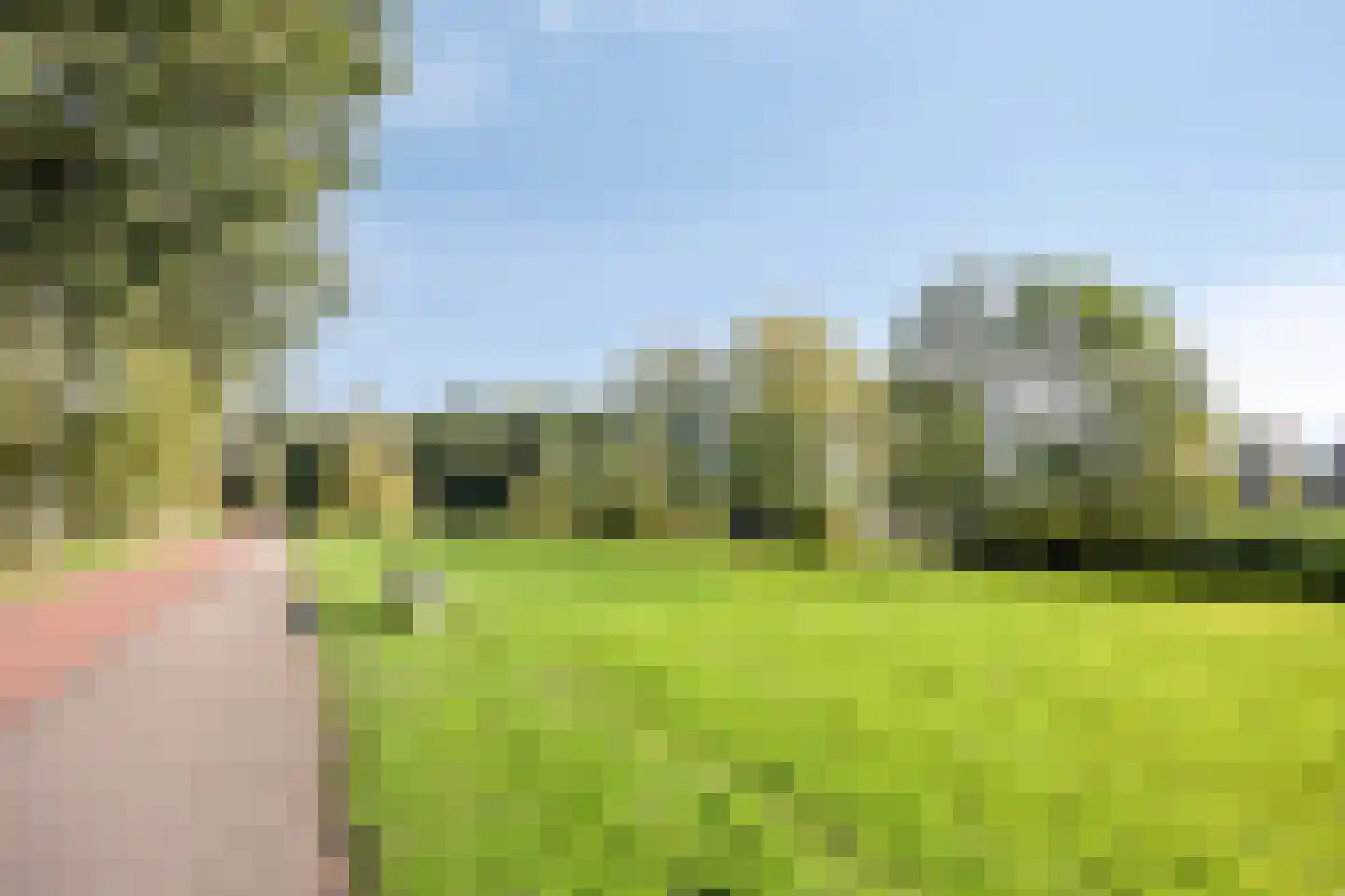 Weegbree 20 Krimpen aan den IJssel thumbnail 42