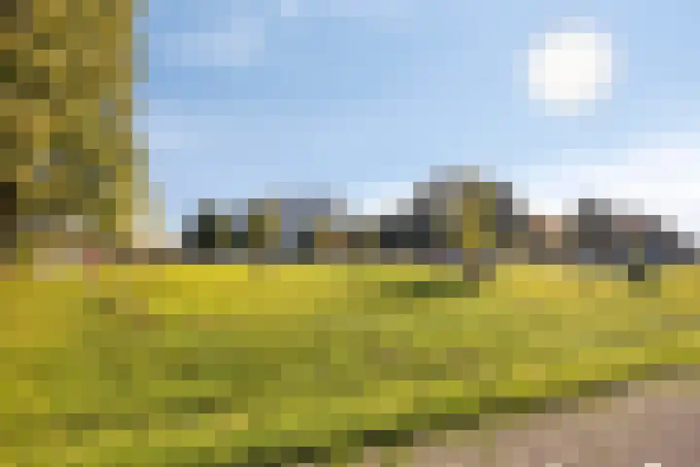 Weegbree 20 Krimpen aan den IJssel thumbnail 43