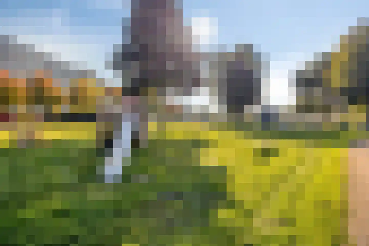 Weegbree 20 Krimpen aan den IJssel thumbnail 44