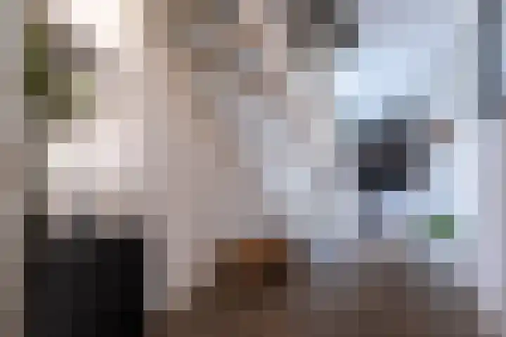 Weegbree 20 Leek thumbnail 10