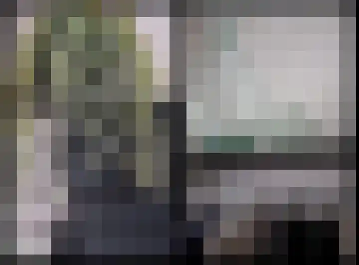 Weegbree 20 Leek thumbnail 11