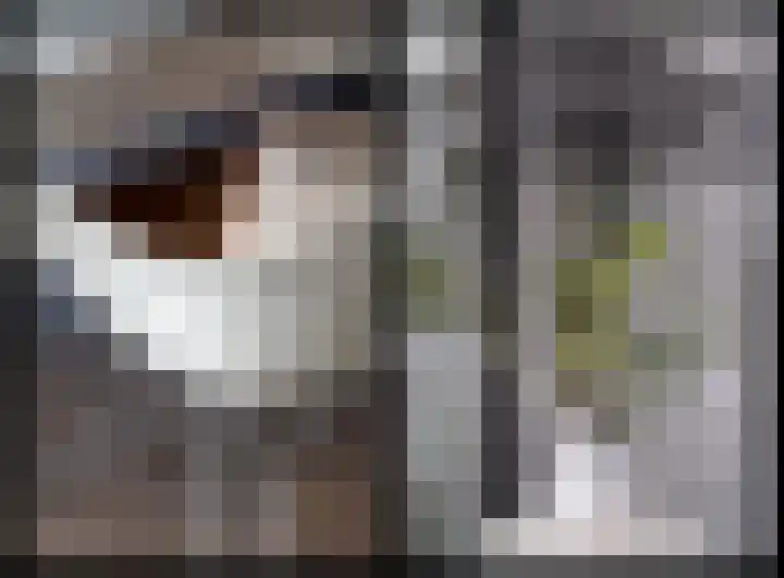Weegbree 20 Leek thumbnail 21