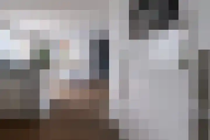 Weegbree 20 Leek thumbnail 24