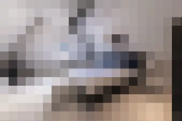 Weegbree 20 Leek thumbnail 29