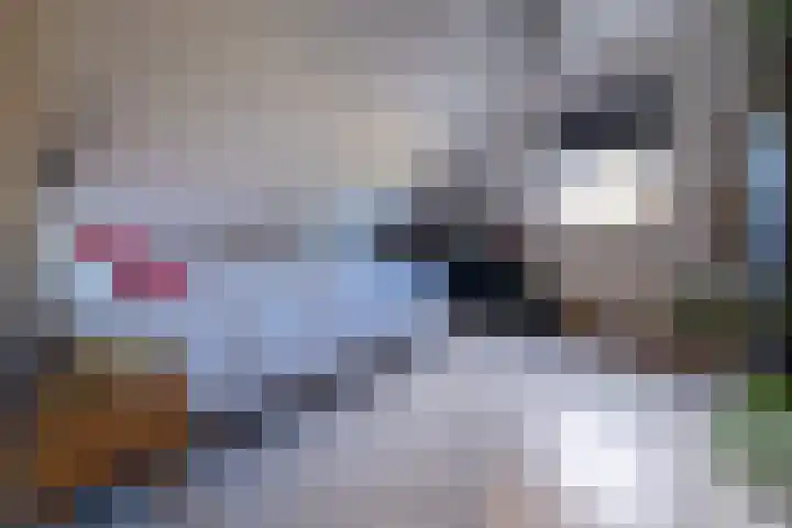 Weegbree 20 Leek thumbnail 33