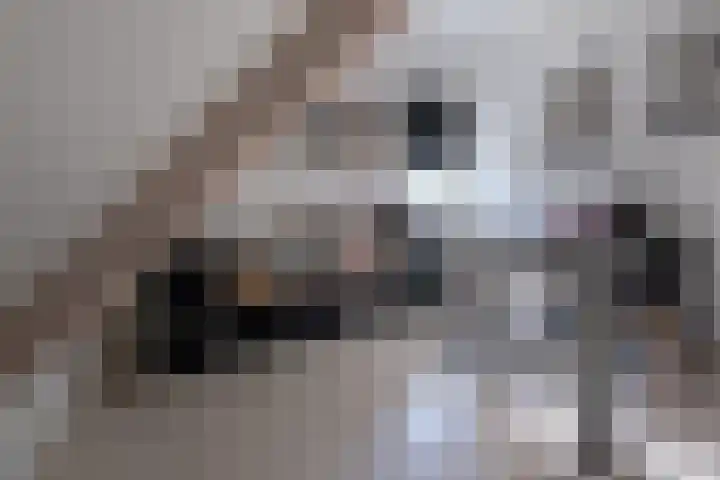 Weegbree 20 Leek thumbnail 36