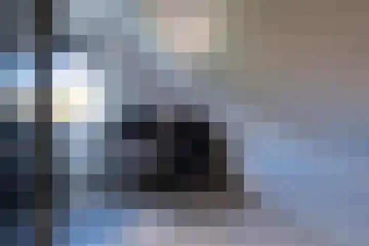 Weegbree 20 Leek thumbnail 37