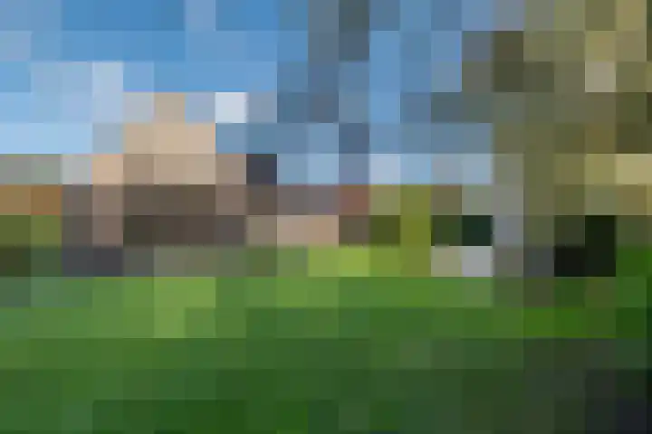 Weegbree 20 Leek thumbnail 42
