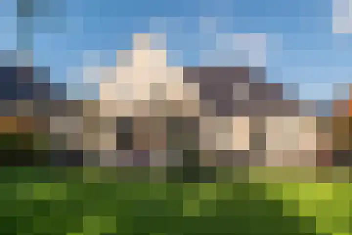 Weegbree 20 Leek thumbnail 43