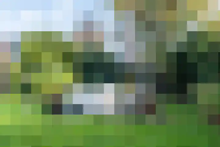 Weegbree 20 Leek thumbnail 45