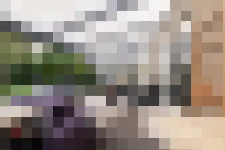 Weegbree 20 Leek thumbnail 48