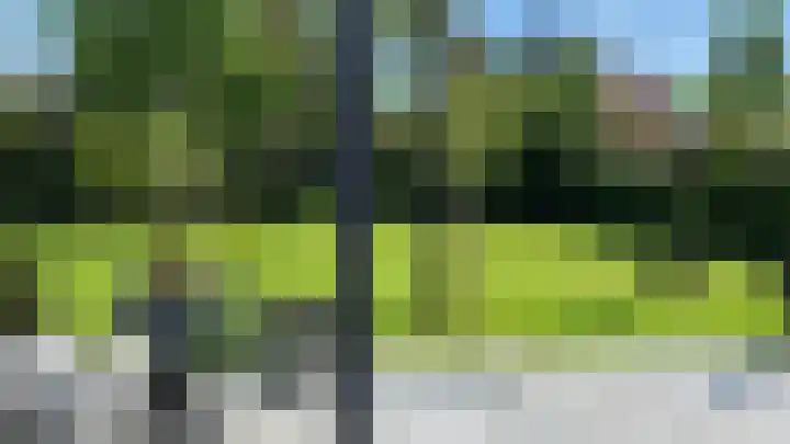 Weegbree 20 Leek thumbnail 51