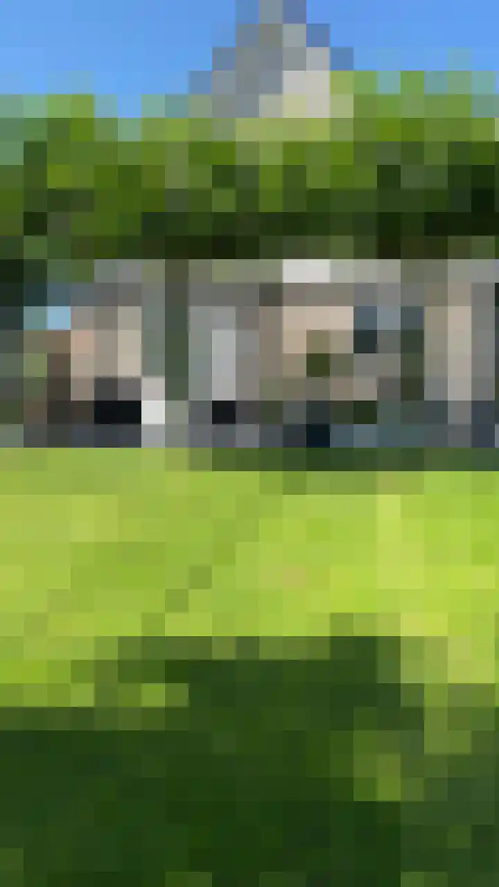 Weegbree 20 Leek thumbnail 52