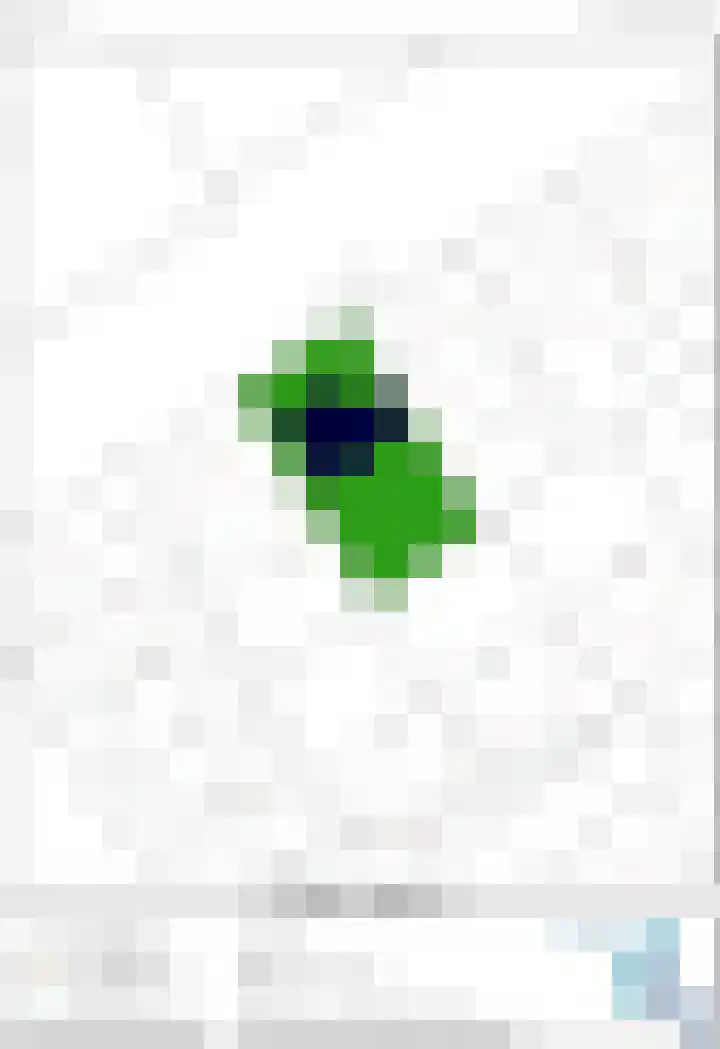 Weegbree 20 Leek thumbnail 55
