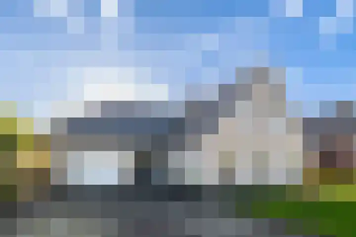 Weegbree 20 Leek thumbnail 8