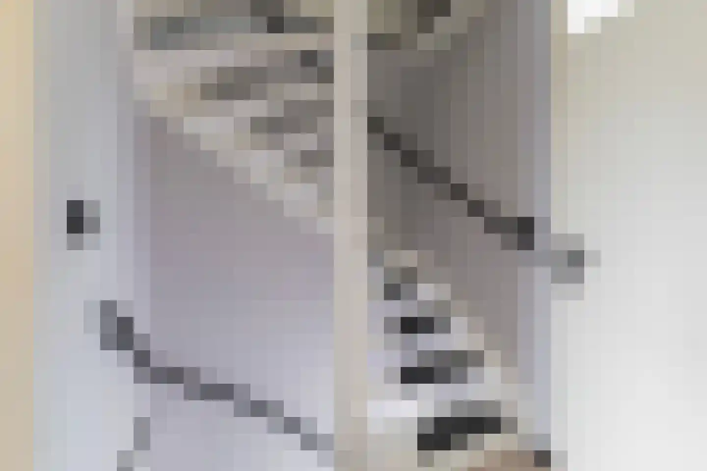 Weegbree 20 Sneek thumbnail 21