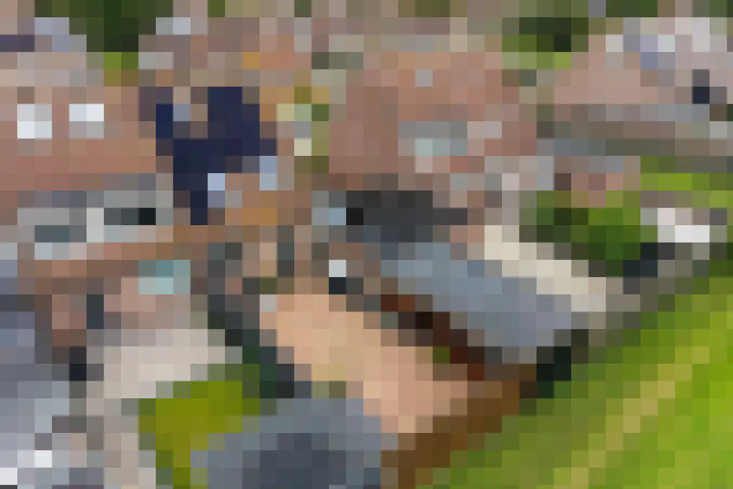 Weegbree 20 Sneek thumbnail 41